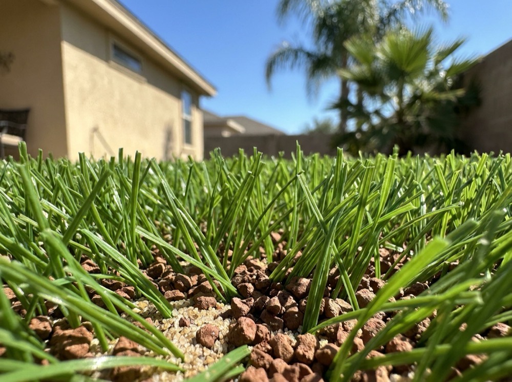 Close detail of artificial turf blades and infill